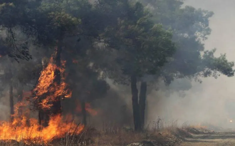 Σε πύρινο κλοιό η χώρα- Ηλεία, Κορινθία, Κρήτη και Αυλώνα παραδόθηκαν στις φλόγες