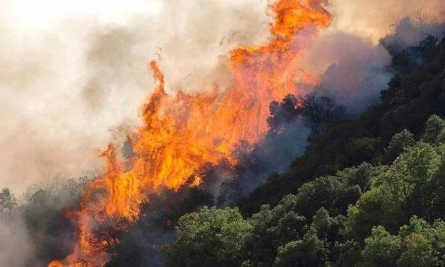Πυρκαγιά στη Φρίξα: Συνελήφθη 46χρονος ως υπαίτιος