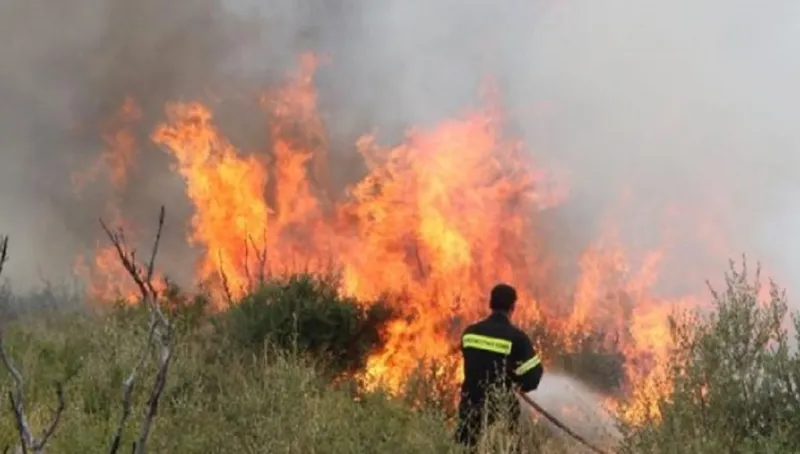 Πυρκαγιά σε εξέλιξη στην Αλόννησο – Εκκενώθηκε ξενοδοχείο