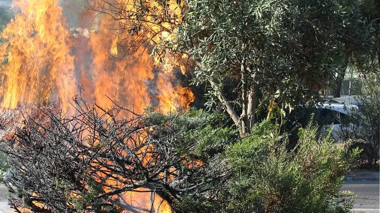 Συνελήφθη 64χρονος για τους εμπρησμούς στον Άγιο Ανδρέα