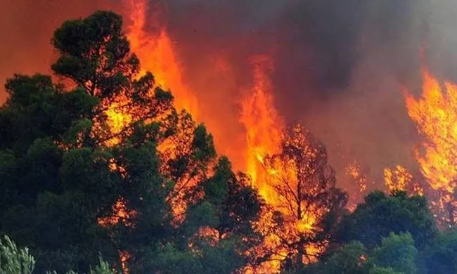 ΑΠΟΕΛ: «Αχ Ελλάδα…» (pic)