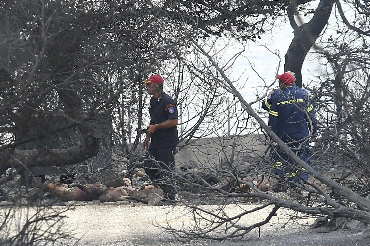 Απίστευτες εικόνες! Τα εναέρια πλάνα από την πυρκαγιά (vid)