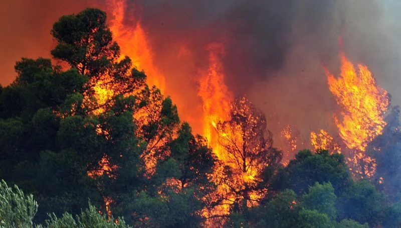 Χάρτης πρόβλεψης πυρκαγιάς για την Πέμπτη 02/08
