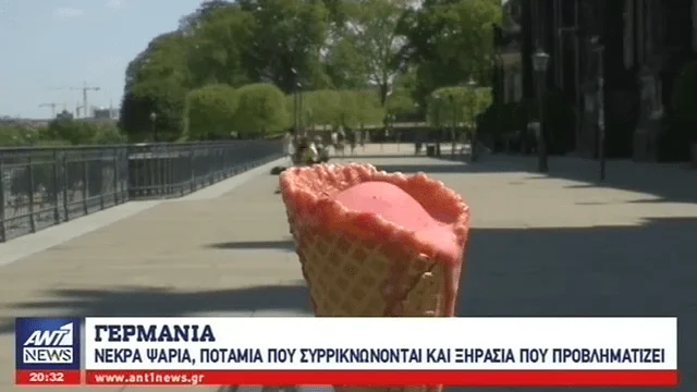 Πεθαίνουν τα ψάρια στη Γερμανία από τη ζέστη (video)