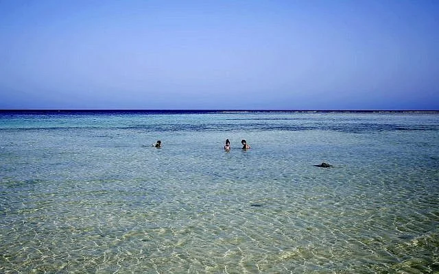 Καρχαρίας έφαγε τουρίστα στην Ερυθρά Θάλασσα