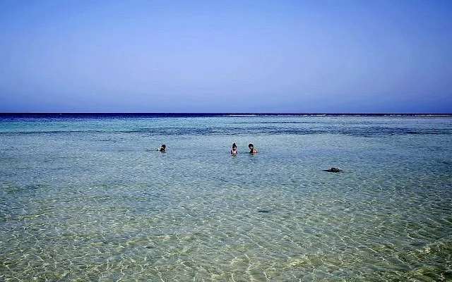 Καρχαρίας έφαγε τουρίστα στην Ερυθρά Θάλασσα