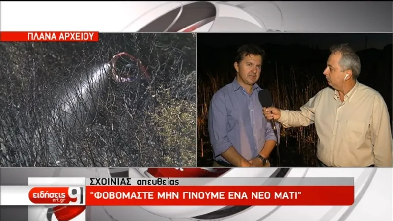 Πυρκαγιές στον Σχοινιά: "Σε βραχυκύκλωμα της ΔΕΗ οφείλονται πιθανόν οι φωτιές"
