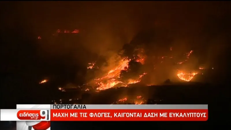 Η Ευρώπη "βράζει" σε πρωτόγνωρες θερμοκρασίες