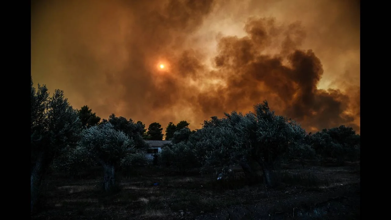 Εύβοια: Τρία τα πύρινα μέτωπα - Περιορίστηκε η ένταση της πυρκαγιάς (UPD)