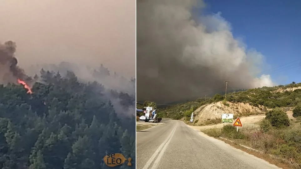 Η φωτιά στη Σιθωνία Χαλκιδικής έχει απλωθεί στα τρία χιλιόμετρα - Εκκενώνεται ο Κάμπος (vid)