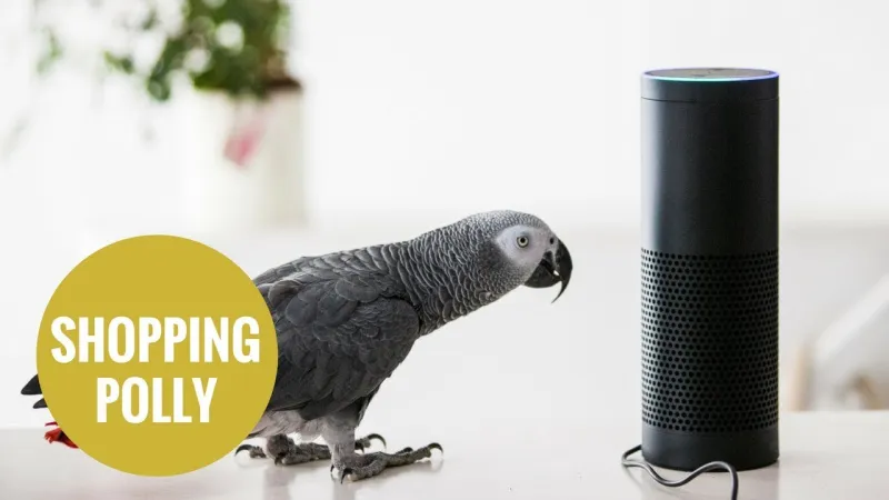 Παπαγάλος χρησιμοποιεί την Alexa του ιδιοκτήτη του για να παραγγείλει παγωτό και σταφίδες