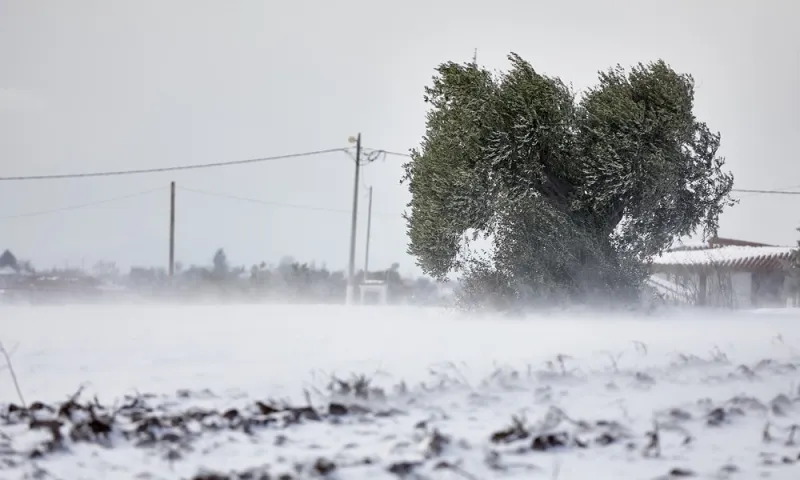 Χιόνια και βροχές φέρνει ο «Φοίβος» (vid)