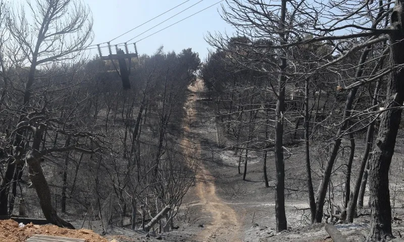 Μάτι: Ποινικές διώξεις σε Δούρου, Ψινάκη και άλλους 18!