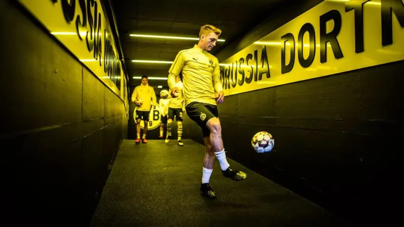 Bundesliga: Παίκτης της χρονιάς ο Ρόις