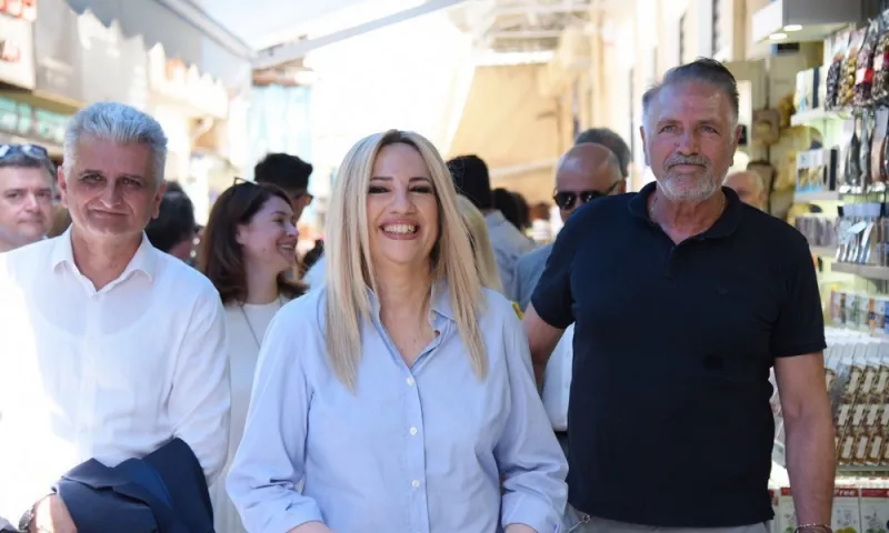 Φώφη Γεννηματά: «Ψήφος με βάση τη λογική»