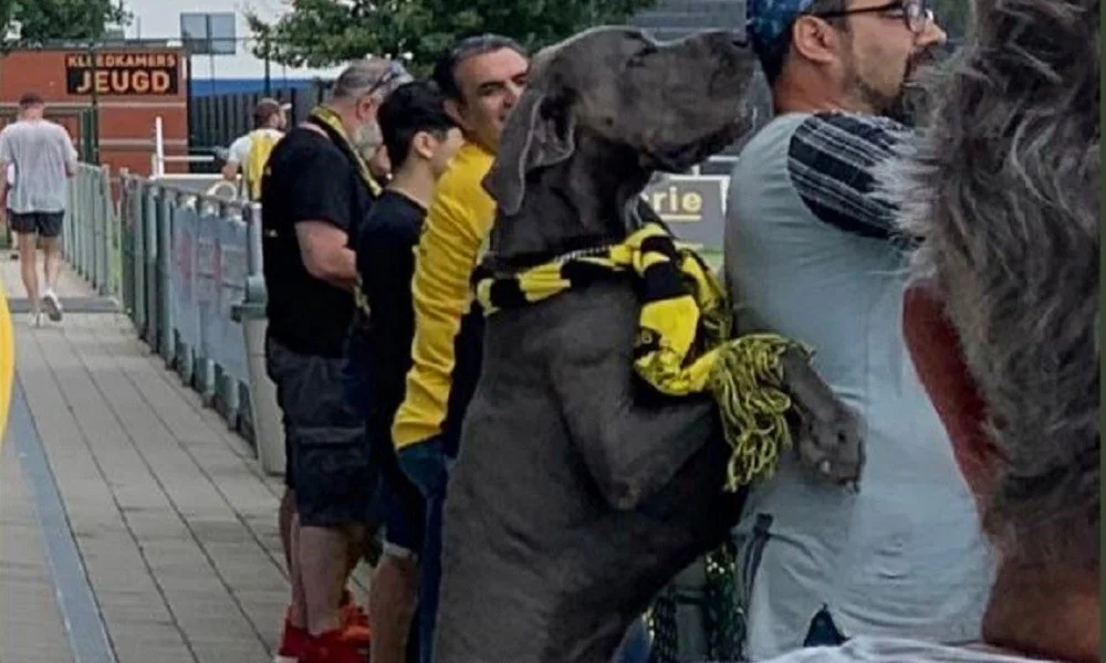 Άρης: Οι οπαδοί και ο… Αρειανός Μολοσσός (vid+pics)
