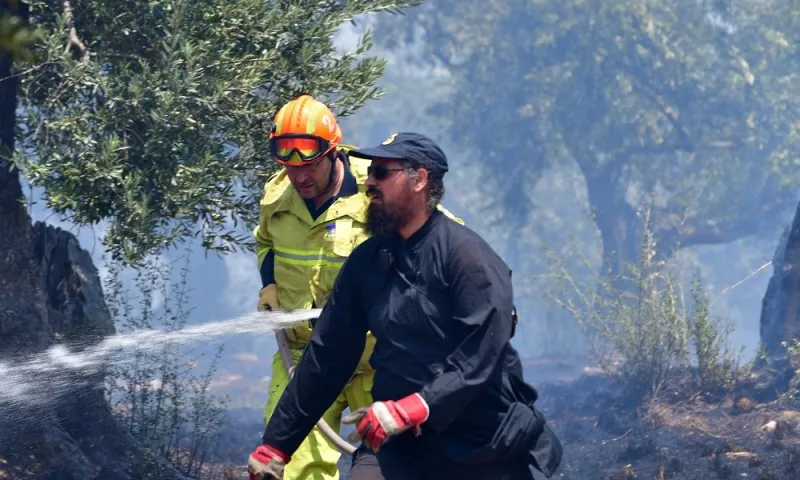 Φωτιά τώρα στα Μέγαρα - Στο σημείο ο Χαρδαλιάς