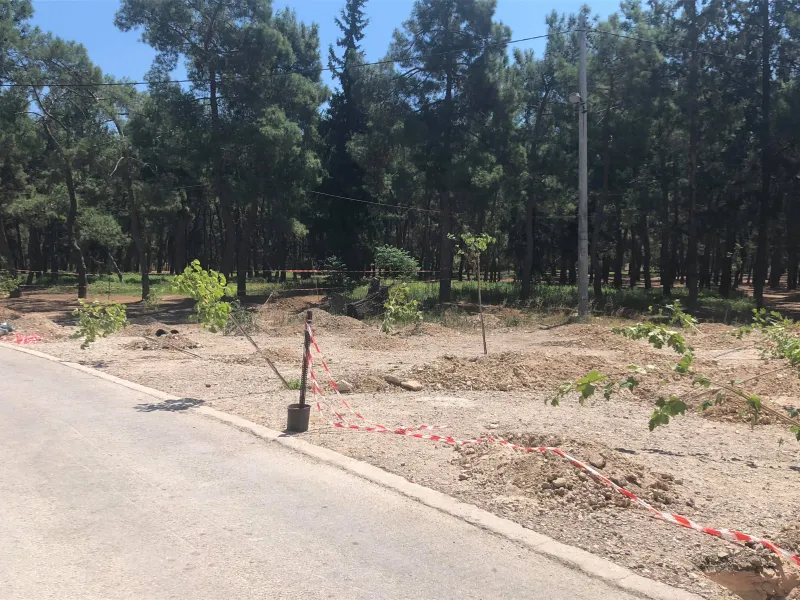 Νέα Φιλαδέλφεια: «Πρασινίζει» το άλσος (pics-vids)