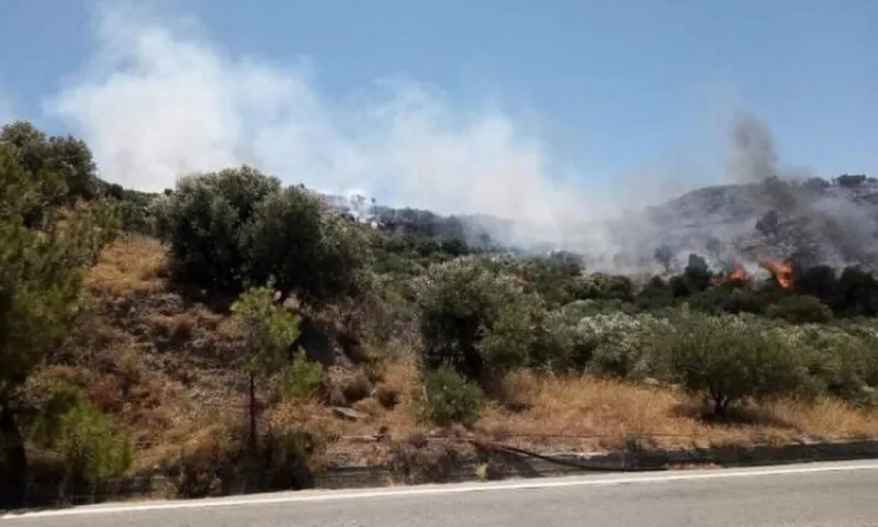 Διόνυσος: Φωτιά κοντά στο Γερμανικό Στρατιωτικό νεκροταφείο