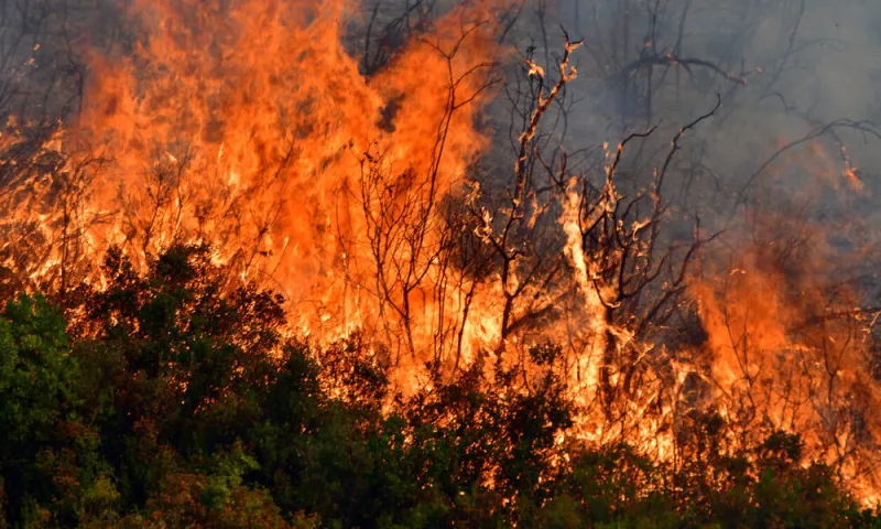 Φωτιά: Μέτωπα μαίνονται σε Θήβα και Θάσο (pics)