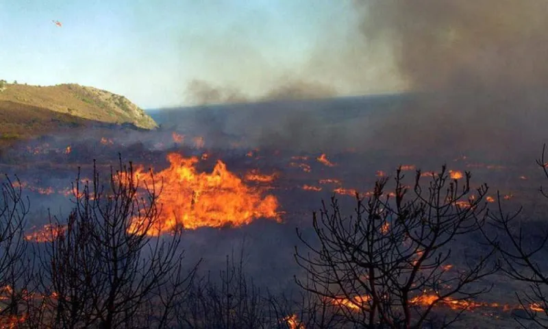 Θήβα φωτιά: Ανεξέλεγκτη η φωτιά κατευθύνεται στη θάλασσα