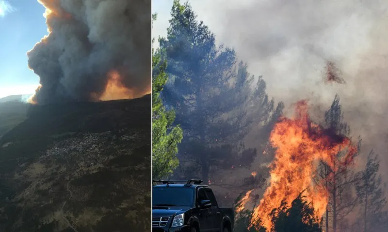 Φωτιά στην Εύβοια: Εκτός ελέγχου - Εκκενώνονται δύο χωριά
