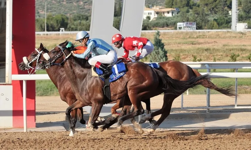 Markopoulo Park: Μοναδικό θέαμα με έξι κούρσες και το 2ο Off-Road Adventure Festival