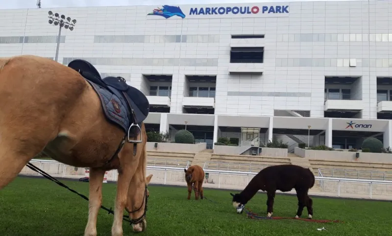 Τρόπαιο Πηλίου και τζακ ποτ στο ΣΚΟΡ 6 στο Markopoulo Park