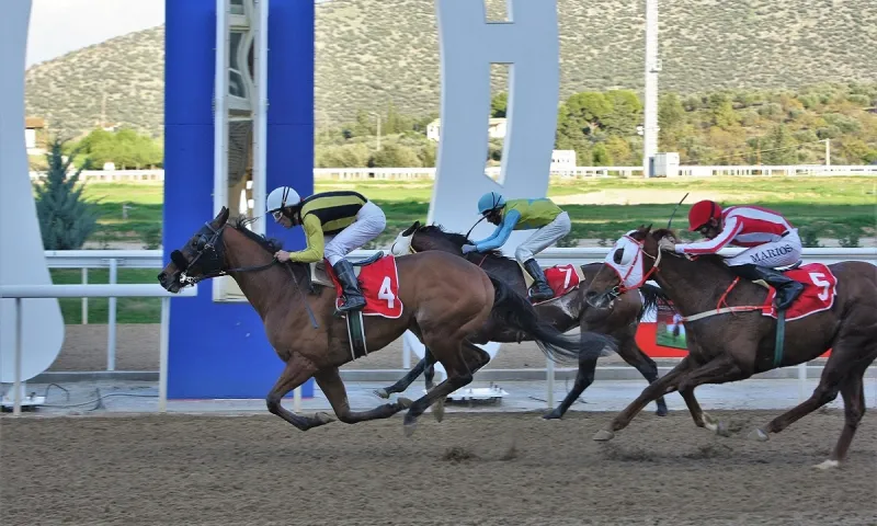 Markopoulo Park: Ρεκόρ συμμετοχών με 73 ίππους