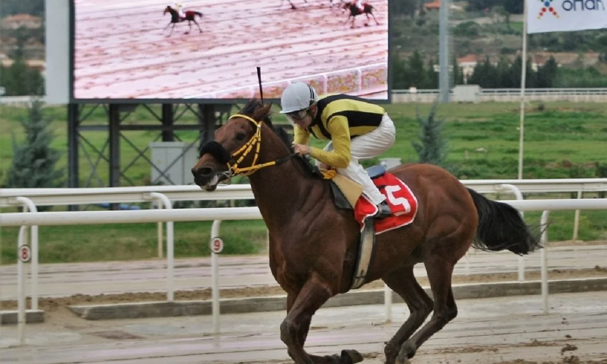 Markopoulo Park: Αυλαία στο 2019 με μεγάλα κέρδη στο ΣΚΟΡ 6