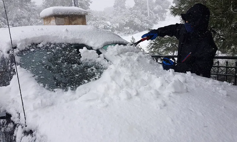 «Ζηνοβία»: Εγκλωβισμένοι οδηγοί στην Αθηνών - Λαμίας!