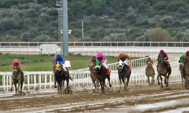 Markopoulo Park: Εντυπωσιακό ξεκίνημα της χρονιάς με έξι ιπποδρομίες και τρία ΣΚΟΡ