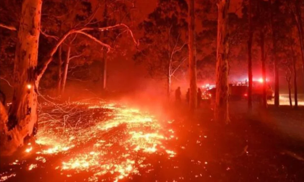 Αυστραλία: Στους 22 οι νεκροί, δεκάδες οι αγνοούμενοι (vids)