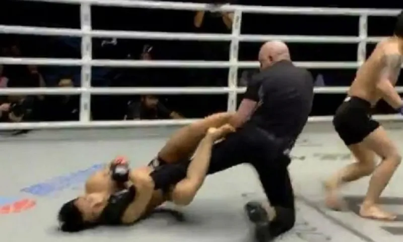 Απίστευτο: Μαχητής τρώει ΚΟ και... (vid)