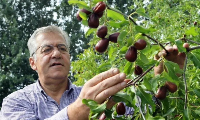 ΣΦ ΠΑΟΚ Δράμας: «Σαραφόπουλε είσαι η ντροπή της πόλης»