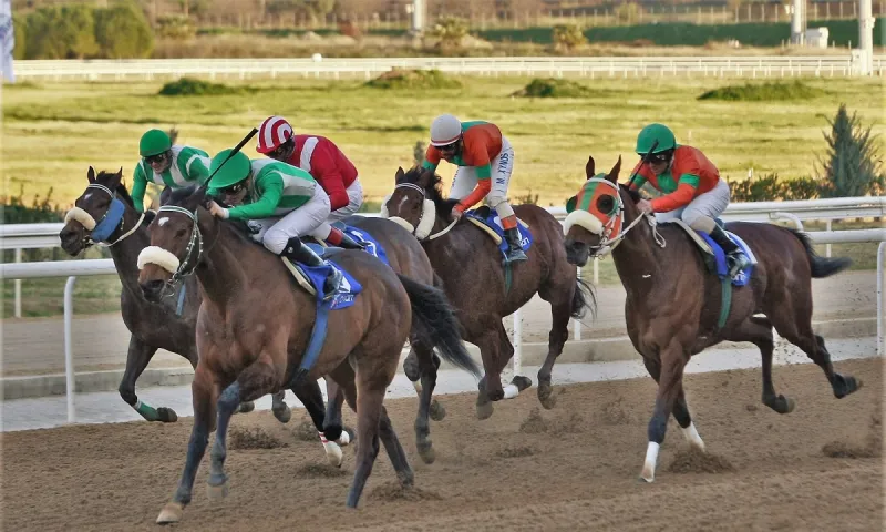 O ΠΑΡΤΥ ΤΑΪΓΚΕΡ νικητής του 1ου Μarkopoulo Park Handicap