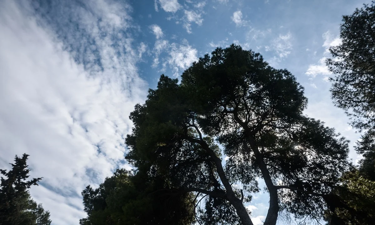 Καιρός 20/3: Αίθριος καιρός, μποφόρ και... μένουμε σπίτι (vids)