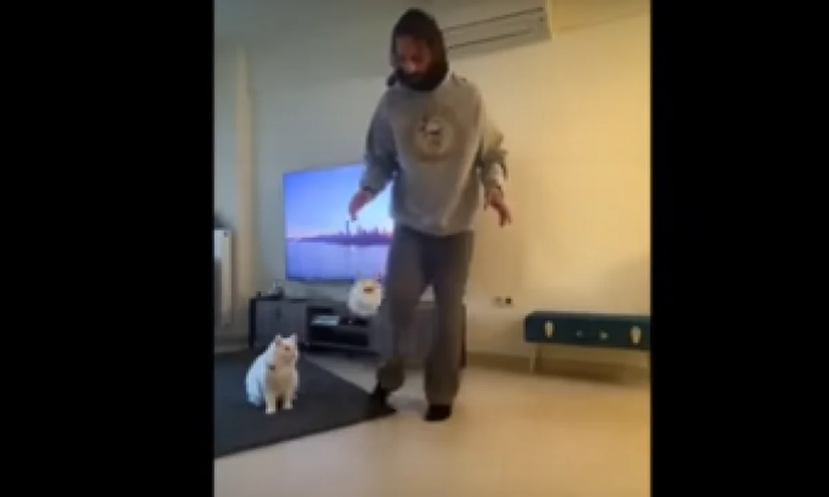 ΟΦΗ: Το επικό «Τοilet Paper Challenge» των Κρητικών (vid)