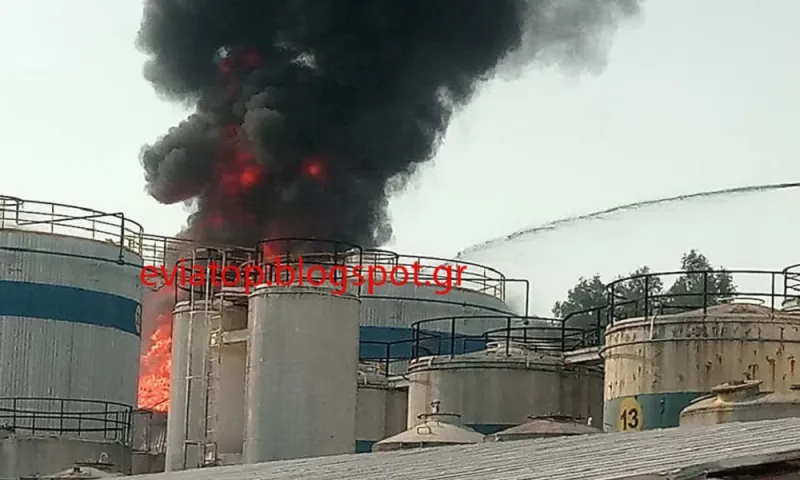 Φωτιά σε αποθήκη με χημικά έξω από τη Χαλκίδα (pics)