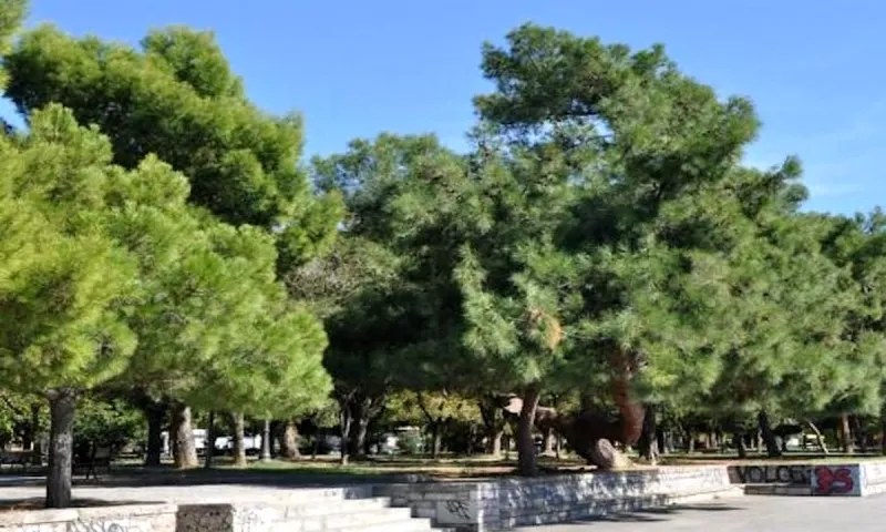 Βόλος: Ζευγάρι έσπασε την απαγόρευση και πιάστηκε γυμνό σε πάρκο!