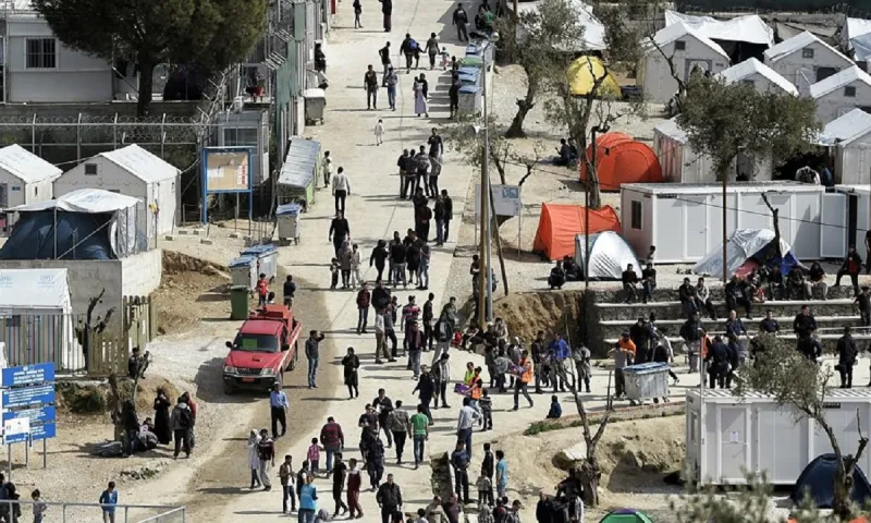 Μόρια: Κτηνοτρόφος βρήκε σφαγμένα τα ζώα του από μετανάστες