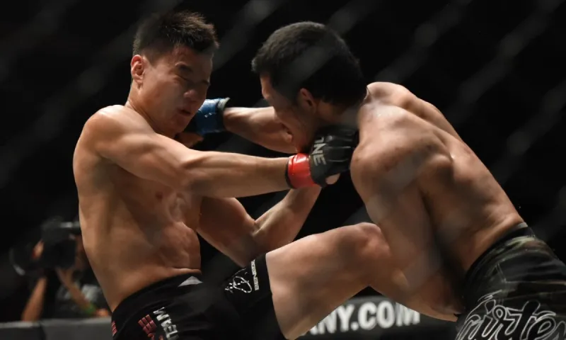 Viral: Αθλητές του MMA παλεύουν από... απόσταση (vid)