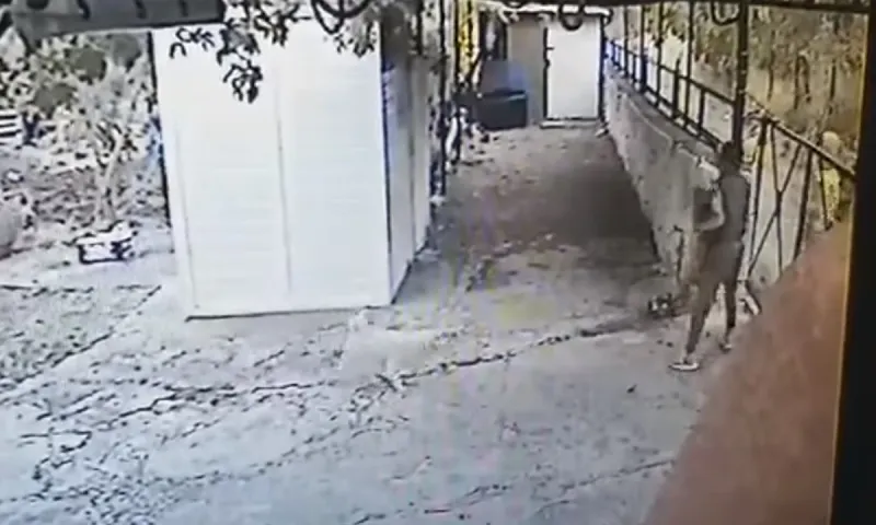 Αδιανόητο: Μετανάστες στη Μόρια αρπάζουν σκυλιά μέσα από σπίτι (vid)