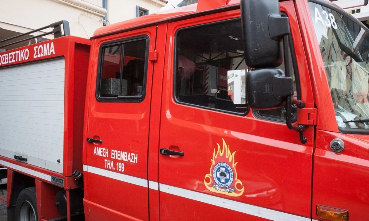 Φωτιά σε δασική έκταση στα Μέγαρα