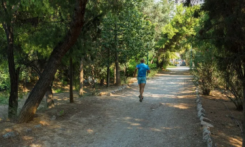 Πετρούπολη: Θύματα επίθεσης έπεσαν τρεις ανήλικοι από Ρομά στο Άλσος