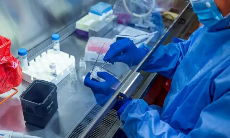 Διευθυντής νοσοκομείου: «Ο κορονοϊός λιγότερο θανατηφόρος - Δεν θα έρθει δεύτερο κύμα!»