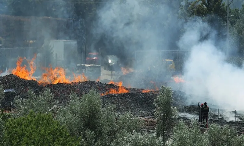 Χίος: Μεγάλη φωτιά στα Ψαρά - «Mάχη» με τις φλόγες