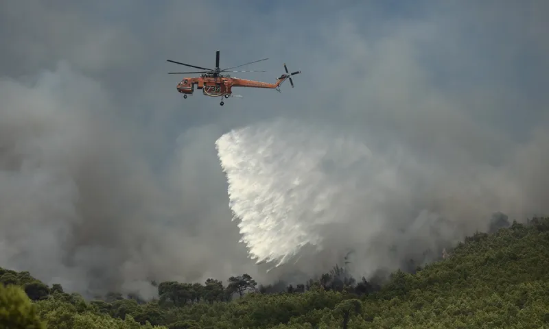 Φωτιά: Επιχείρηση της Πυροσβεστικής στον Ασπρόπυργο