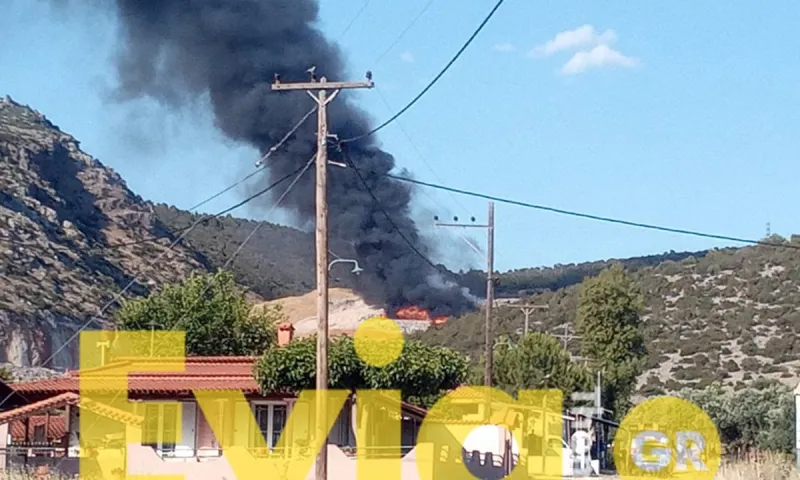 Χαλκίδα: Μεγάλη πυρκαγιά στην Χαραυγή