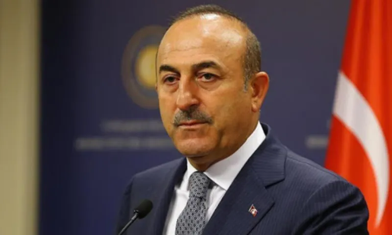 Τσαβούσογλου: «Έτοιμοι να συνεργαστούμε με την Ελλάδα στην Ανατολική Μεσόγειο» (vid)